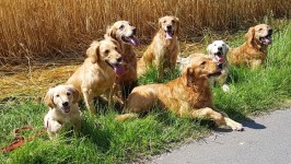 U Wurftreffen 2019 Nr 1